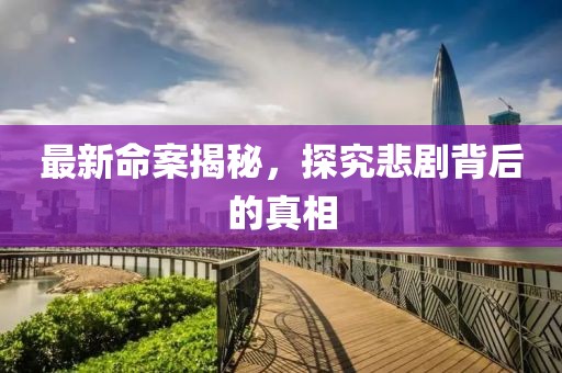 最新命案揭秘，探究悲剧背后的真相