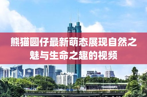熊猫圆仔最新萌态展现自然之魅与生命之趣的视频