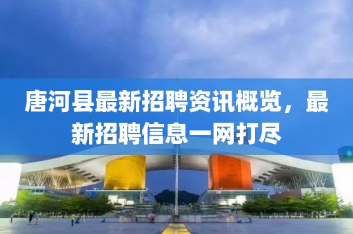 唐河县最新招聘资讯概览，最新招聘信息一网打尽