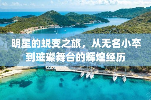 明星的蜕变之旅，从无名小卒到璀璨舞台的辉煌经历