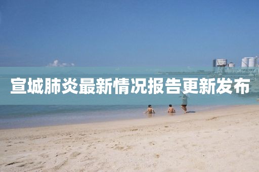 宣城肺炎最新情况报告更新发布