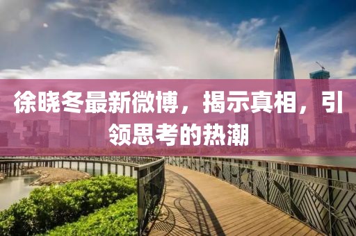 徐晓冬最新微博，揭示真相，引领思考的热潮