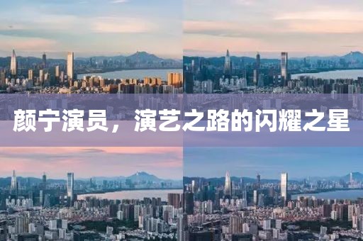 颜宁演员，演艺之路的闪耀之星