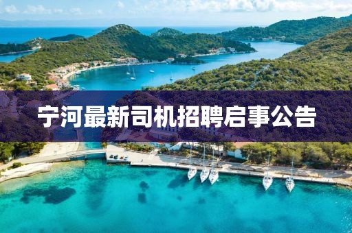 宁河最新司机招聘启事公告