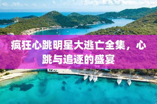 疯狂心跳明星大逃亡全集，心跳与追逐的盛宴