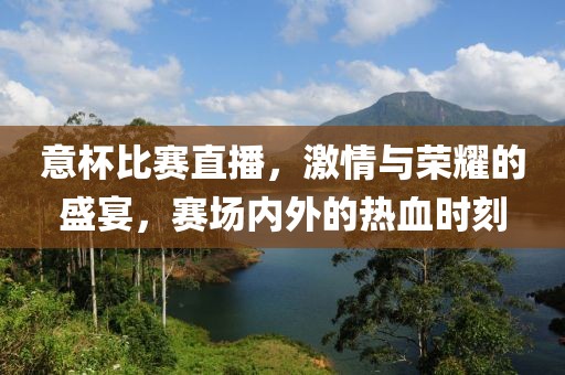 意杯比赛直播，激情与荣耀的盛宴，赛场内外的热血时刻