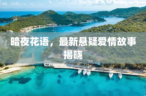 暗夜花语，最新悬疑爱情故事揭晓