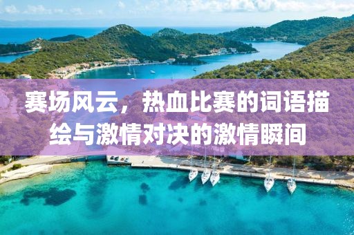 赛场风云，热血比赛的词语描绘与激情对决的激情瞬间