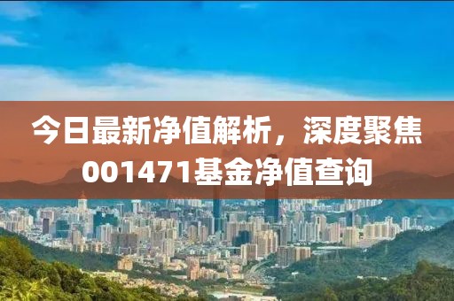 今日最新净值解析，深度聚焦001471基金净值查询
