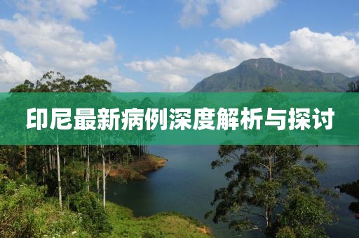 印尼最新病例深度解析与探讨