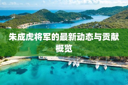 朱成虎将军的最新动态与贡献概览