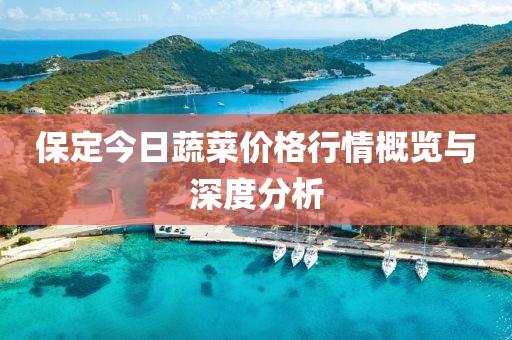 保定今日蔬菜价格行情概览与深度分析