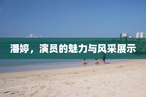 潘婷，演员的魅力与风采展示