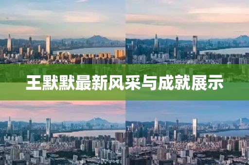 王默默最新风采与成就展示