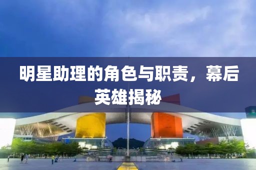 明星助理的角色与职责，幕后英雄揭秘
