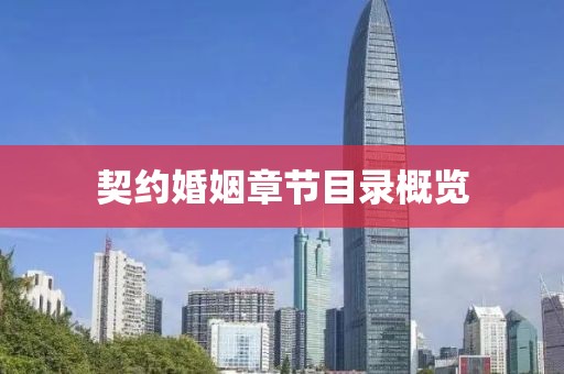 契约婚姻章节目录概览
