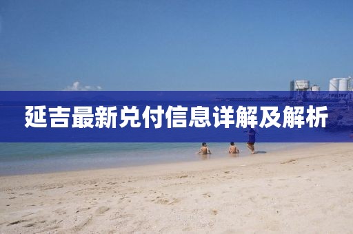 延吉最新兑付信息详解及解析