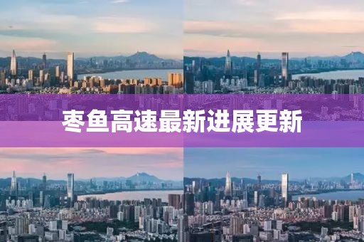枣鱼高速最新进展更新