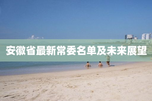 安徽省最新常委名单及未来展望