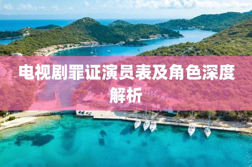 电视剧罪证演员表及角色深度解析