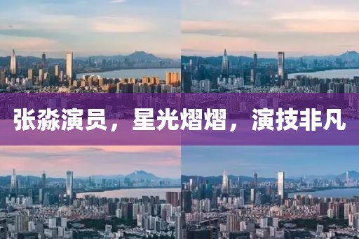 张淼演员，星光熠熠，演技非凡