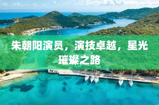 朱朝阳演员，演技卓越，星光璀璨之路
