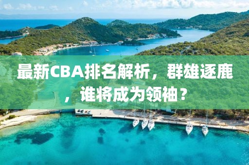 最新CBA排名解析，群雄逐鹿，谁将成为领袖？