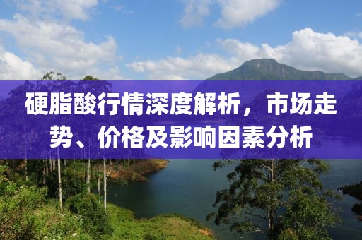 硬脂酸行情深度解析，市场走势、价格及影响因素分析