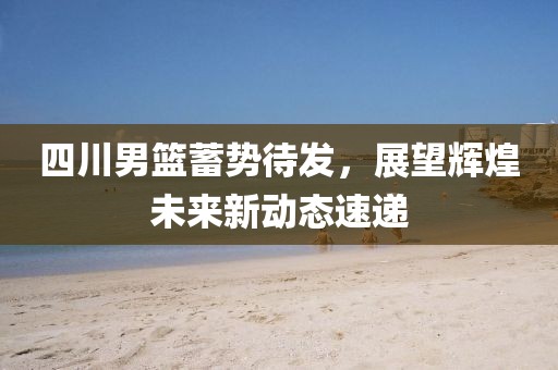 四川男篮蓄势待发，展望辉煌未来新动态速递