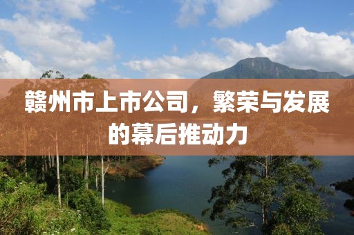 赣州市上市公司，繁荣与发展的幕后推动力