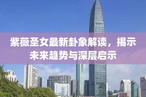 紫薇圣女最新卦象解读，揭示未来趋势与深层启示