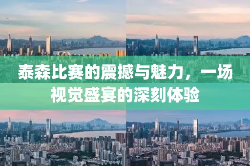 泰森比赛的震撼与魅力，一场视觉盛宴的深刻体验