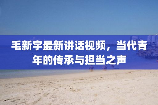 毛新宇最新讲话视频，当代青年的传承与担当之声