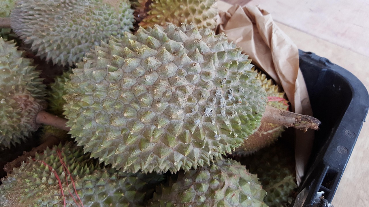 怀中猫 第18页