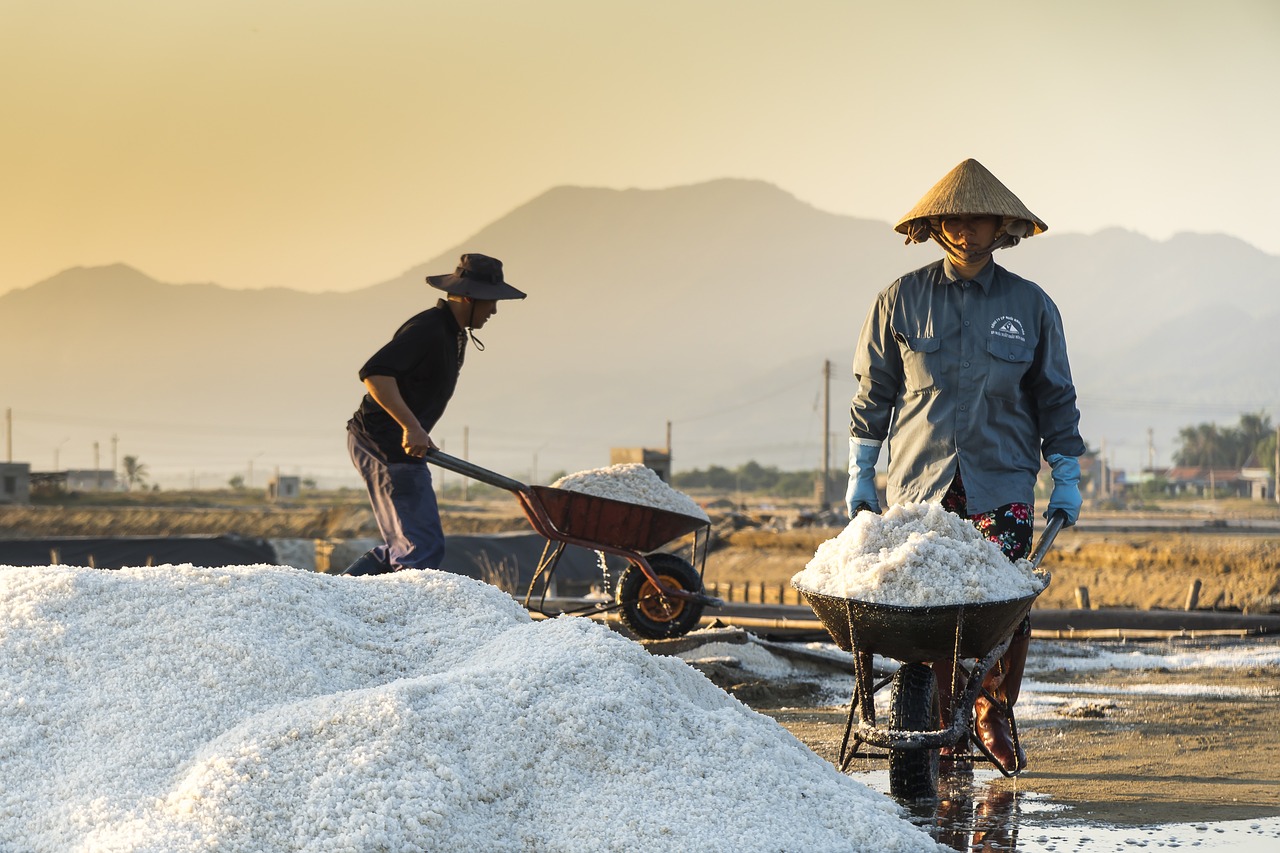 电视剧的魅力与启示，从向上想想得到的启示与反思