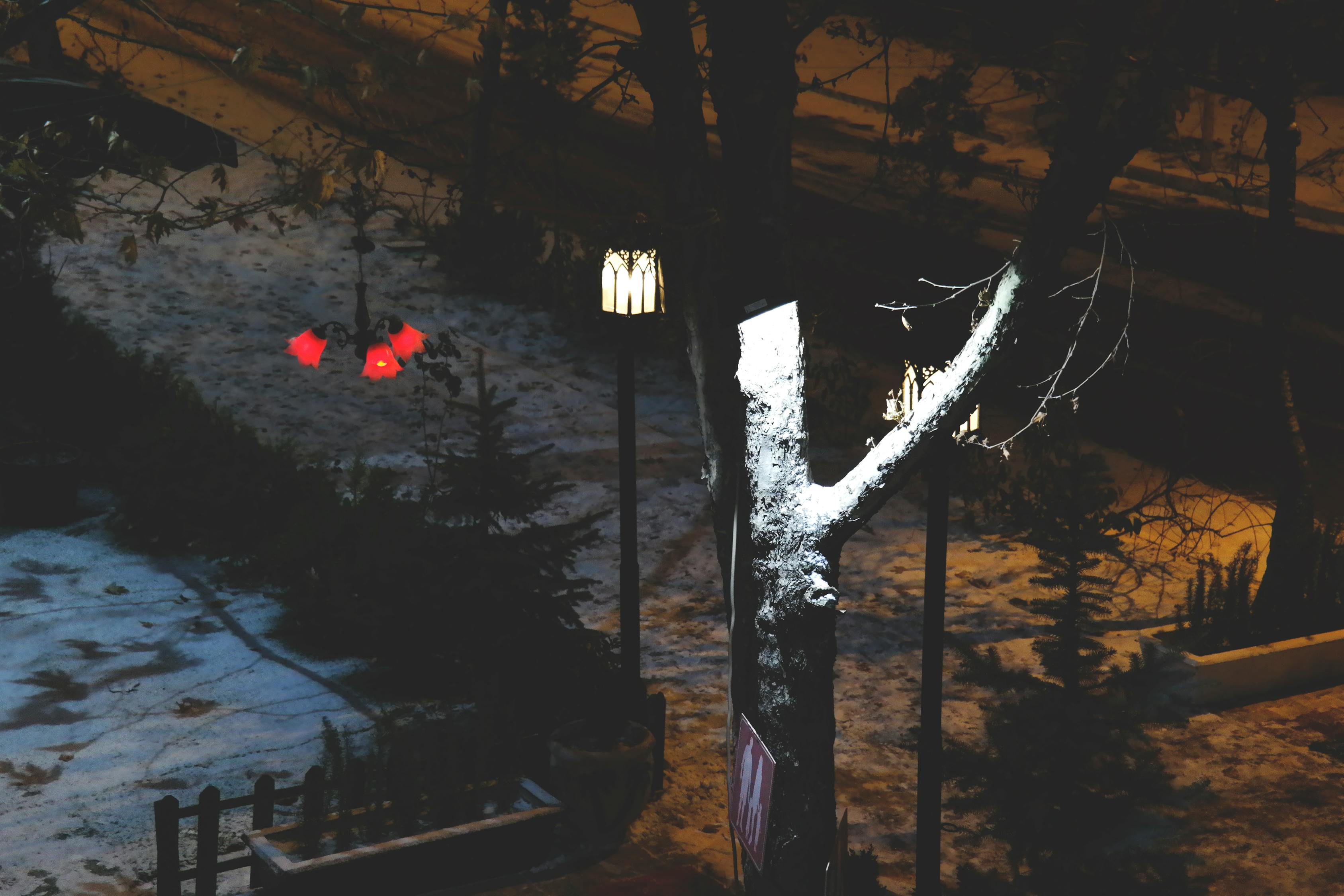 电影老无所依，命运无常与人生挣扎的写照