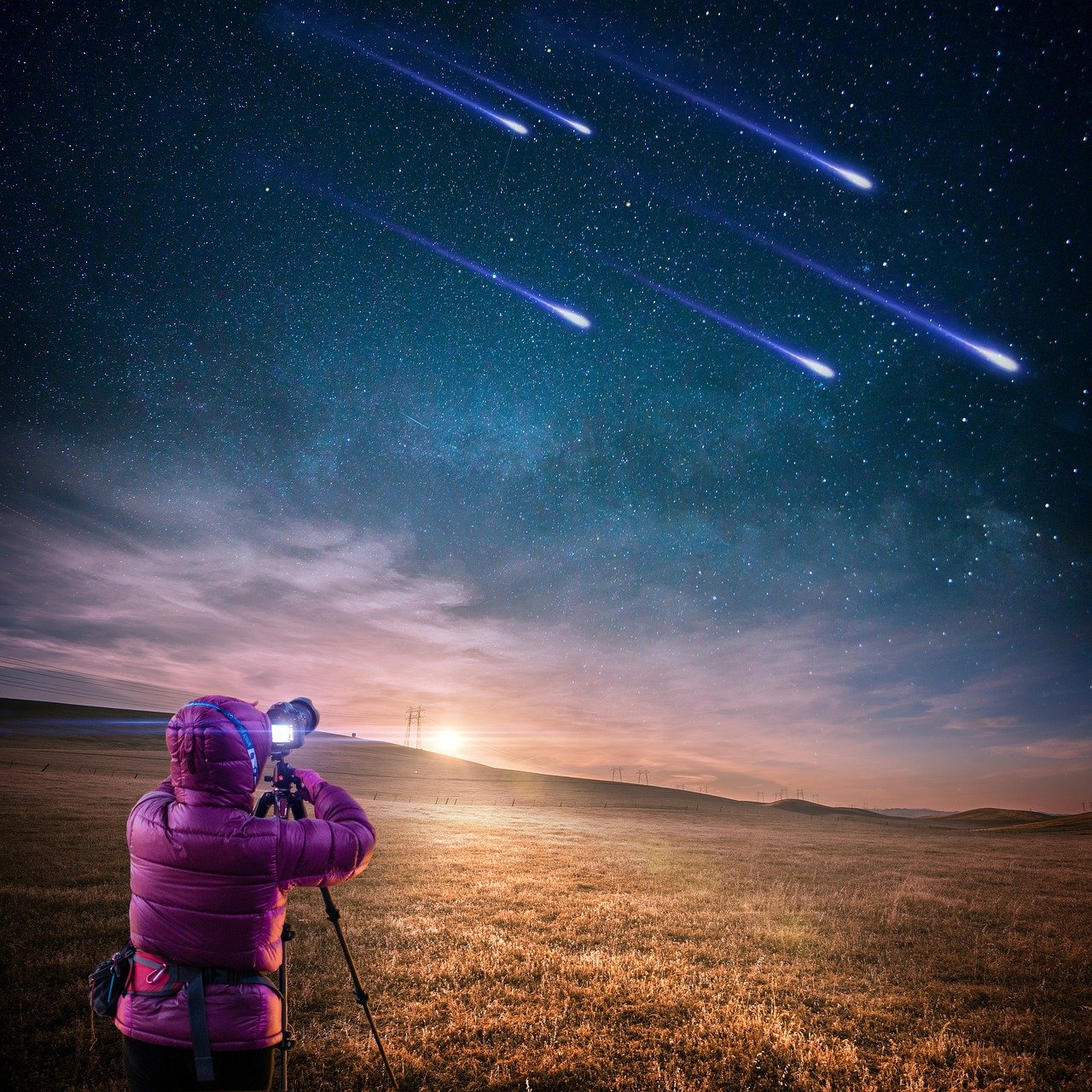 全能大明星，星光熠熠的传奇之旅（TXT版）