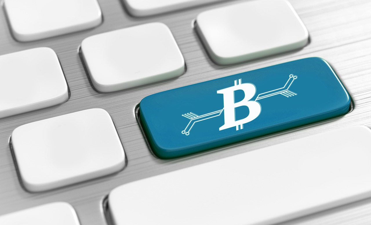 最新过户费用详解，影响、变化与应对策略全解析
