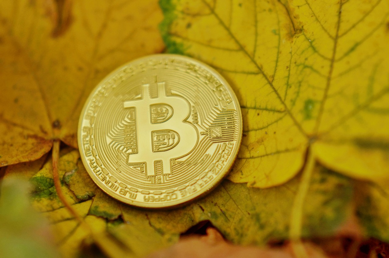 贵金行情深度解析与未来前景展望