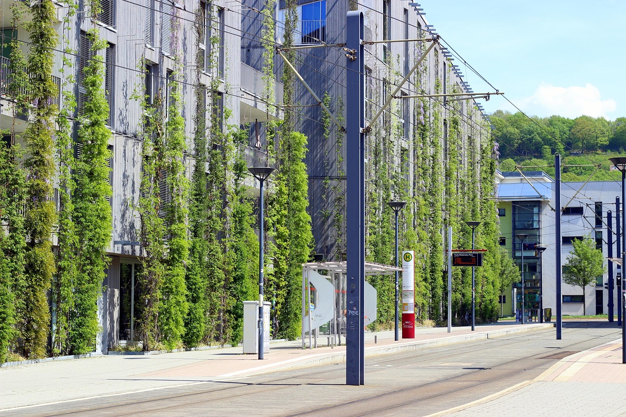 襄阳竹叶山最新资讯，城市发展与绿色建设的融合之路
