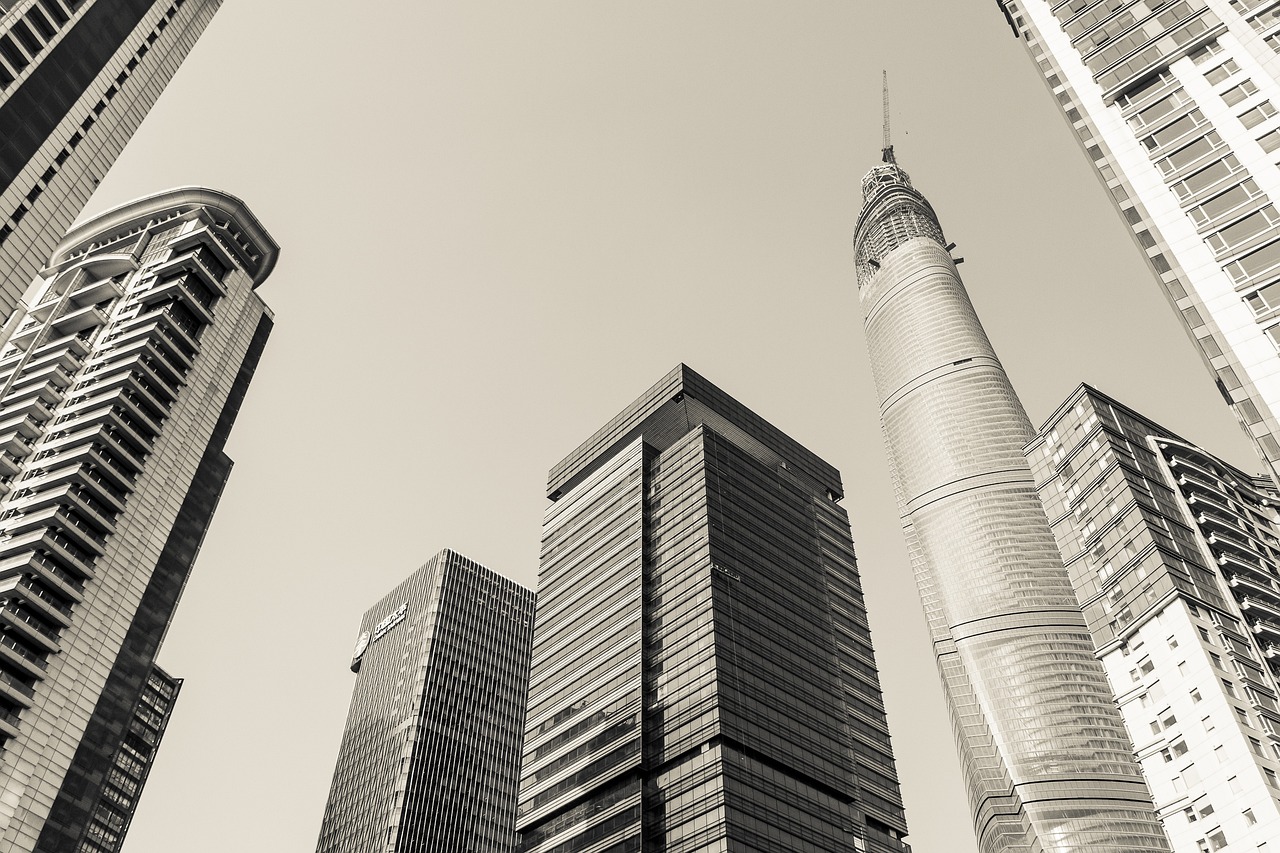 上海别墅行情深度解析与综述