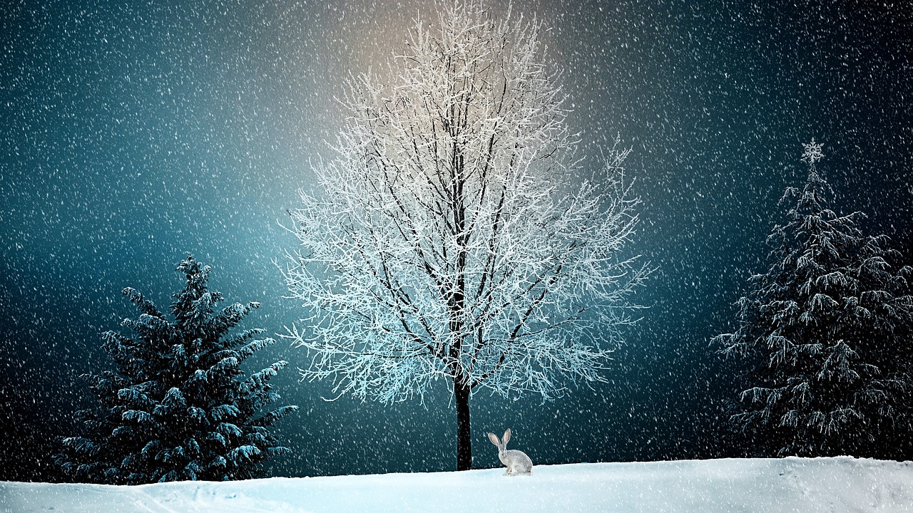 雪明星，闪耀天际的纯净之光传奇