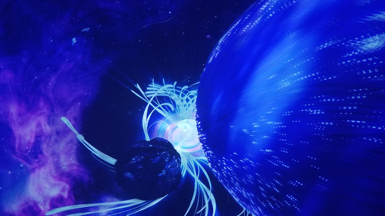 网络时代的星光璀璨，明星QQ空间探秘