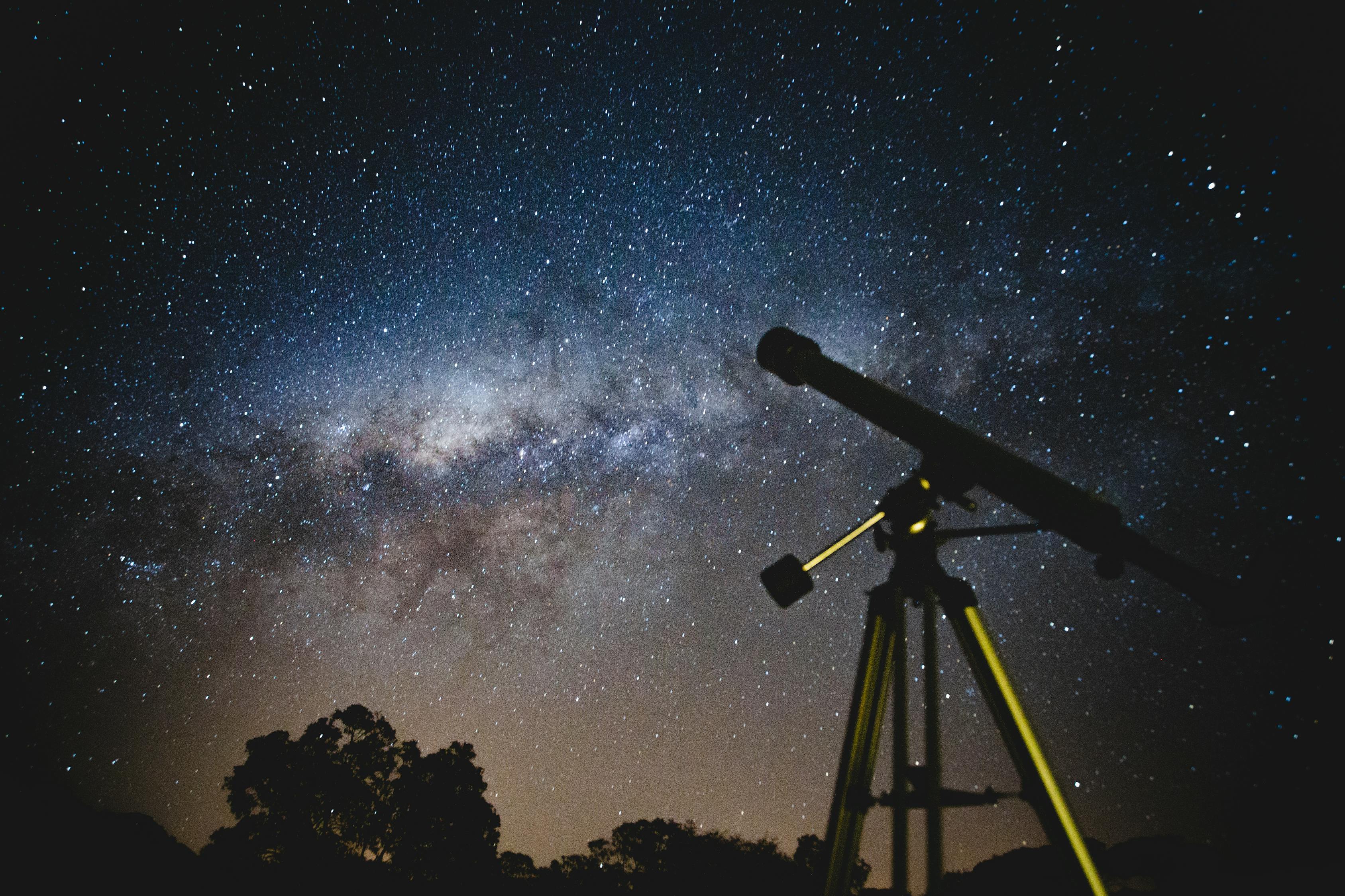 王明星，娱乐圈的璀璨之星闪耀光芒
