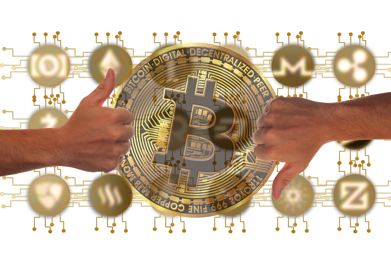 寿昌元宝最新行情及深度分析