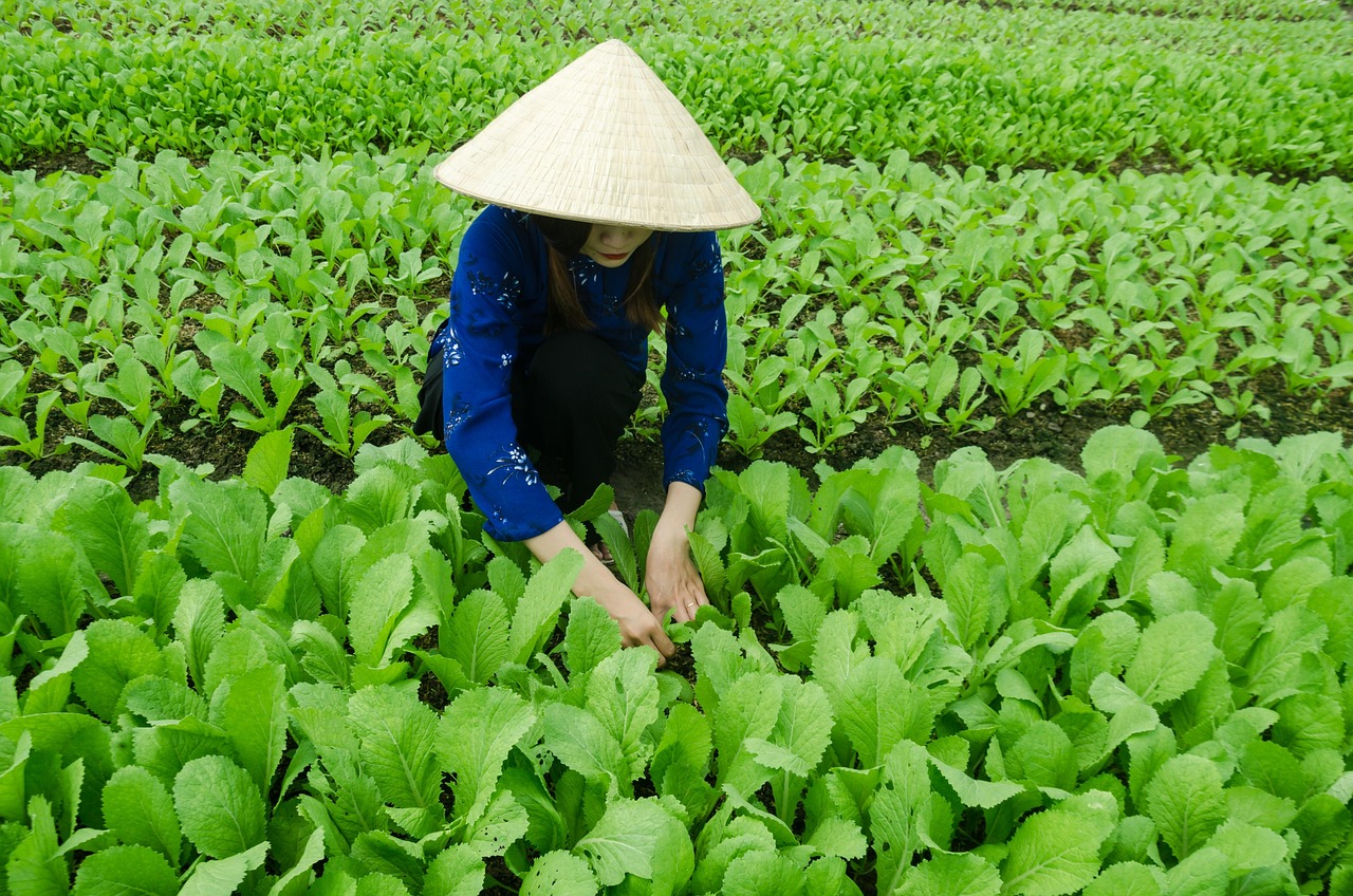 钱塘江最新动态，发展与保护的和谐共振