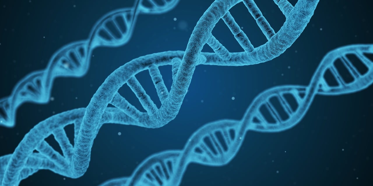 最新动物防疫法规，保障人类与动物共同健康的新篇章