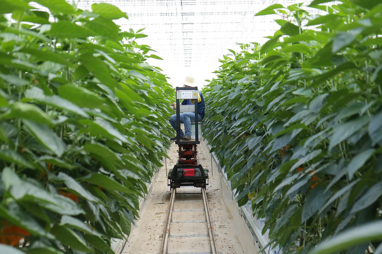 农发种业股票股吧，农业种植业投资机遇与挑战探索